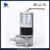 DC Plastic Gear Motor for Massage Cushion/Central Lock