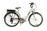 28 Inch Electric Bicycle for Men (TDB01Z)