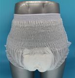 Import Wholesale Free Sample Super Absorbent Adult Pulls up Diaper/Panty Diaper for Elderly