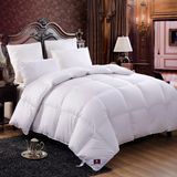 China Manufacturer Supply Quality Hotel Duvet