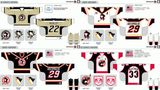 Ahl Toronto Wilkes-Barrescranton Penguins Customized Hockey Jersey