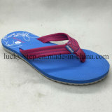 Hot Sale Design Blue Flip Flops Man Shoes