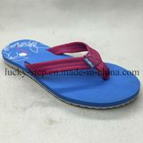 Hot Sale Design Blue Flip Flops Man Shoes