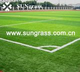 Plastic Grass Carpet for Football Field (JDS-S)