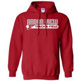 Custom Cotton/Polyester Printed Hoodies Sweatshirt of Fleece Terry (F070)