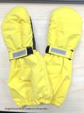 Winter Sport Skiing Gloves, and for Riding and Fishing