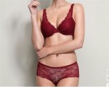 New Design Hot Sales Women Underwear with Lace (FPY323)
