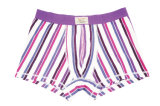 95%Cotton/5%Pendex Men Underwear Boxers Brief Fashion for 251-Purple