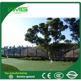 Natural Garden Carpet Grass for Golf