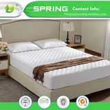 Queen Size Hypoallergenic Bed Bug Proof Fitted Style Mattress Cover Protector