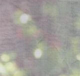 Virgin HDPE Economical Insect Net Wholesale