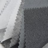 Apparel Accessories PA/Pes Glue Non-Woven Interlining