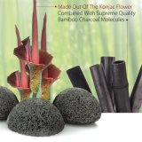 100% Natural Root Fiber Eco-Friendly Konjac Sponges