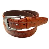 New Fashion Men Belt Ostrich Grain PU Leather Belt Needle Buckle