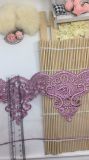 New Design Factory Stock Wholesale 14.5cm Width Embroidery Polyester Trimming Fancy Nylon Net Lace for Garments & Home Textiles & Curtains Accessory (BS012)