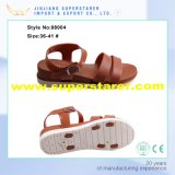 Fashion Slingback Sandal Shoe, Elastic Women Sandal Shoes