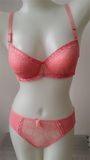 2016 Sexy Summer Lace Underwear Bra and Panty Set (CS05583)