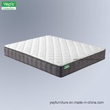 Compressed Pocket Spring with 3D Mesh Fabric Tight Top Mattress (MP220)