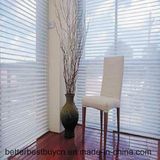 Hot Sale High Quality Aluminum Alloy Shutter/Blind Curtain