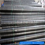 6FT*300FT Black PP Woven Weed Barrier Fabric