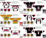 Customized American Hockey League Rockford Icehogs Hockey Jersey