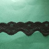 Fashionable Floral Pattern Trimming Lace with Scalloped Edges & Fringes