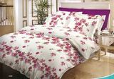 100% Cotton Good Quality Bed Sheet