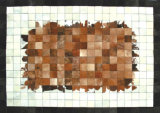 Leather Carpet (CAX-012)
