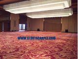 Broadloom Carpet for Hand Tufted Hilton Hotel (Function Hall)