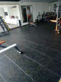 Indoor Rubber Carpet with Various Type, Gym Mat,