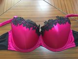 Plus Size Embroidered Lace Sexy Bra for Big Girl