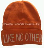 Fashion Beanie Hat Knitting Hat with Cuff (HJB-098)