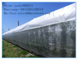 Gardern 5 Years Top Quality Anti Insect Net in Middlle-East/South-America Markets