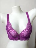 2016 New Design Lace and Satin Underwear Bra (CSB02)