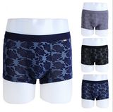 2016 Fashion Printed Pattern Cotton Sexy Man Trunks