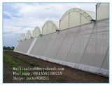 Agricultural Plant Use White 50 Mesh Anti Insect Shade Net