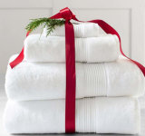 Five -Star Hotel 100% Cotton Dobby Bath Towel, Hand Towel, Towel Set