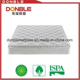 King Pocket Spring Mattress with Memory Latex Foam Euro Top Gel Foam for Hotel Home Bedroom Bed Furniture