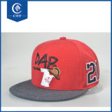 Fashion Custom Dri Fit Baseball Cap/Sport Cap