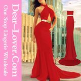 Newest Ladies Long Evening Wear