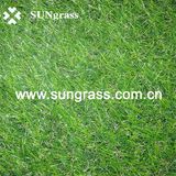 Landscape Synthetic Grass Carpet for Garden, Balcony (SUNQ-HY00050)