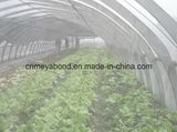 HDPE Anti Insect Net, Nylon Greenhouse Net, Greenhouse Insect Net