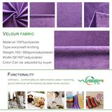 Warp Knitted Super Soft Stretch Velour Fabric for Pillow Cover, Pajamas, Toy