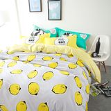 China Manufacture Factory Direct Sale Printed Cotton Bedding