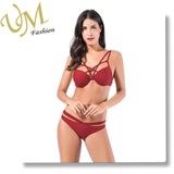 New Design Customize Good Quality Swim Wear Bikini with Bra Cup