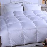 Global Economic Duvet, Comforter (E-015)