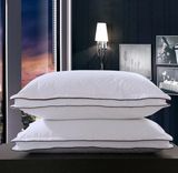 Cheap Promotional Pillow for Hotel /Home Textile (DPF10313)