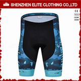 Wholesale Custom Made Fashionable Sublimated Cycling Pants OEM Service (ELTCSI-17)