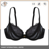 Sexy Panty Ladies Bra Womens Lace Lingerie