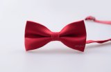 Jacquard Necktie Office Staff Polyester Bowtie Solid Color Bowtie Ad01/002/003